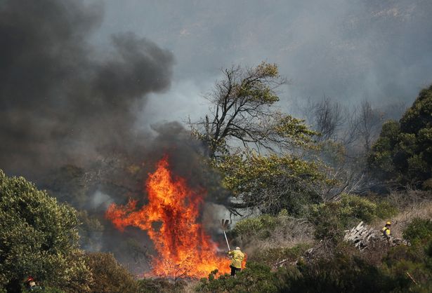 Firefighters battle to contain a bushfire that broke out on the slopes of Table Mountain