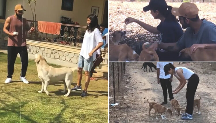 Anushka Sharma and Virat Kohli's Special and Priceless Moments From Last Year Shows Virushka's Immense Love For Dogs - WATCH