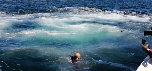 The feeding frenzy caused the waters to bubble up