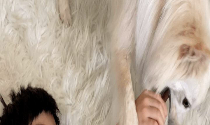 ‘Minari’ Child Actor Alan Kim Writes, Directs And Stars In Adorable Movie With His Dog Cream