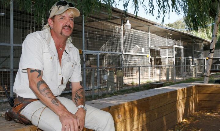 ‘Tiger King’ Joe Exotic Says He’ll Accept Carole Baskin’s Offer To Help Reduce His Prison Sentence