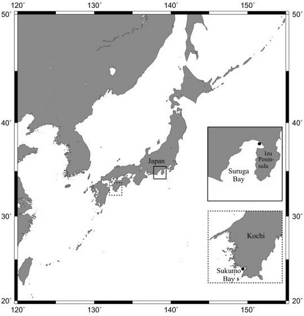 Black and white map showing the sampling location in Japanese waters of specimens used in the study