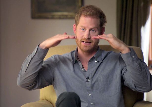 First episode of The Me You Can See with Prince Harry