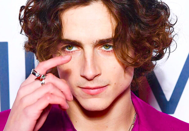 Timothée Chalamet to play Willy Wonka in the origin story set for March 2023 release : Bollywood News