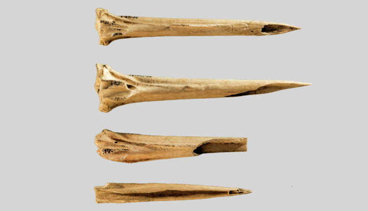 sharpened turkey leg bones used for tattoos