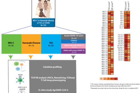 Polyclonal expansion of TCR Vbeta 21.3+ CD4+ and CD8+ T cells is a hallmark of Multisystem Inflammatory Syndrome in Children