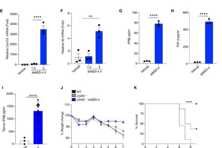 A diamidobenzimidazole STING agonist protects against SARS-CoV-2 infection