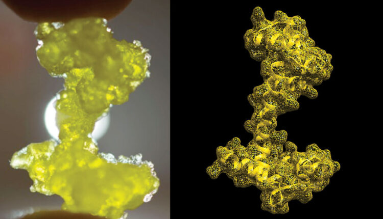 side by side images of a yellow, anchor-shaped object