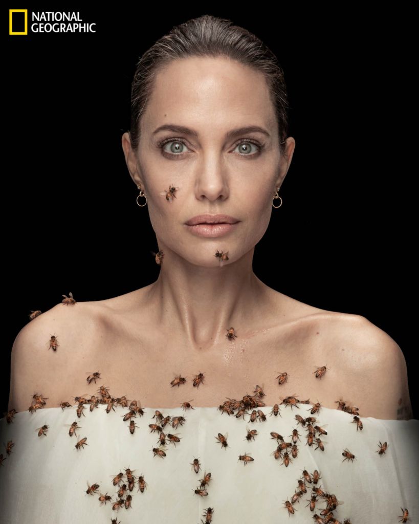 Angelina Jolie. (Dan Winters/National Geographic)