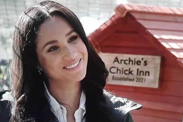 Meghan Markle told Oprah all about the family's precious rescue hens