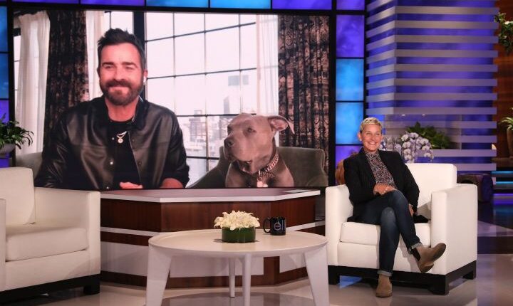 Justin Theroux Looks Back At Having Formal Dinners With His Dog