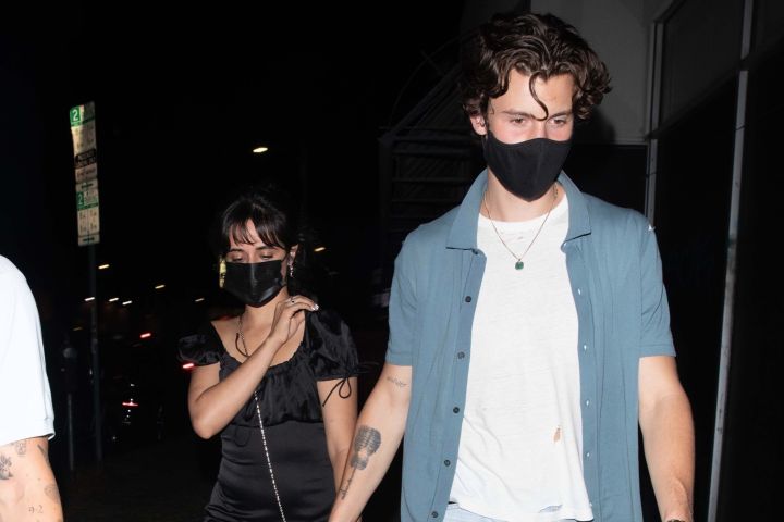 Camila Cabello - Shawn Mendes