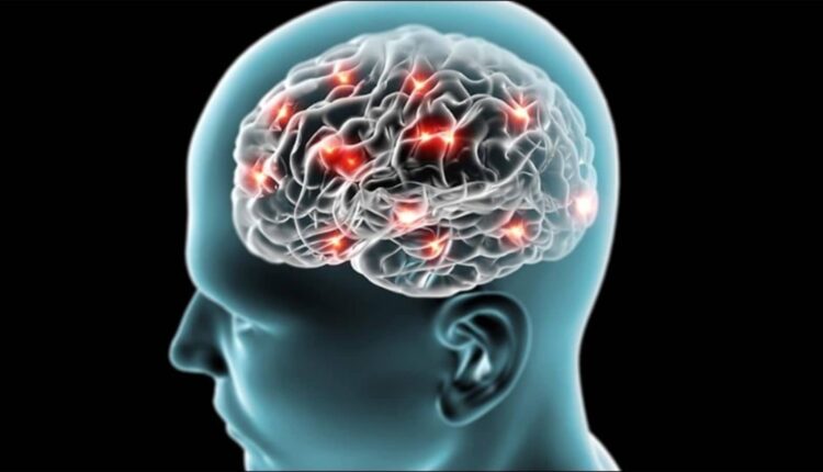 Viruses in human genes that damage brain development identified: Study