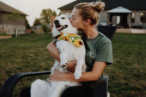 A dog owner shells out more than £250 every month on luxury raw meals for her pets after giving up canned pet food - but makes her animals fast for a whole week. 
Leslie Poulos, 28, is owner of pooches Nala, a puggle, Ace, a Border Collie, and Kyra and Roxy, two Siberian huskies.
The animal lover used to feed her dogs standard canned pet food but after finding meal times were becoming a struggle in 2016 - and noticing she was throwing away more food than they ate, which she took as a sign they weren't happy with their dishes - she decided to give them a lifestyle overhaul.
Her pets are now given dishes packed full of fresh nutrients, including muscle meat, organs, raw meaty bones, fruits, vegetables, supplements, and additives.