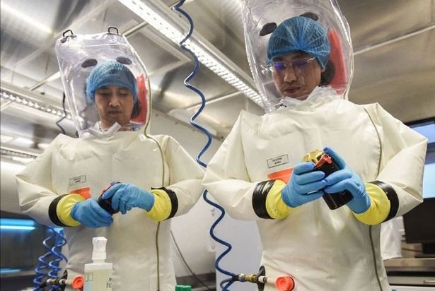 Lab workers inside the Wuhan Institute of Virology