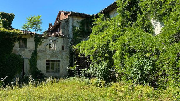 From the outside the palace has been overrun by vegetation