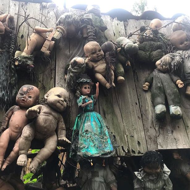 The owner of the 'Island of the Dolls' spent decades hanging up the creepy toys