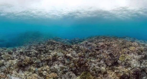 Eileen's wetsuit could have been torn on coral reef, experts claimed