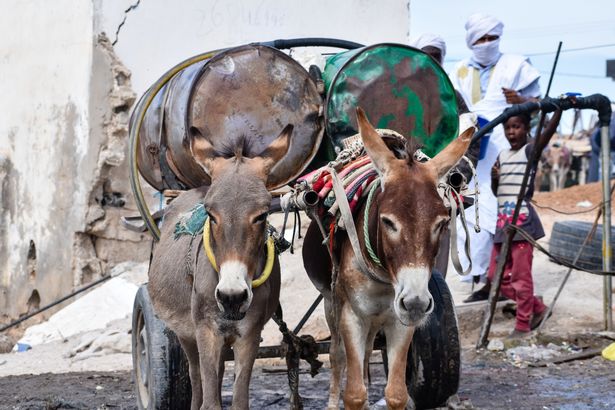 Nouakchott is the capital of Mauritania in north-west Africa, but the city has no piped water system to serve its 1.3 million residents