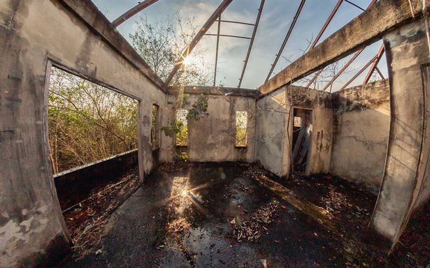 A photo shows the inside of a house that was taken over by nature