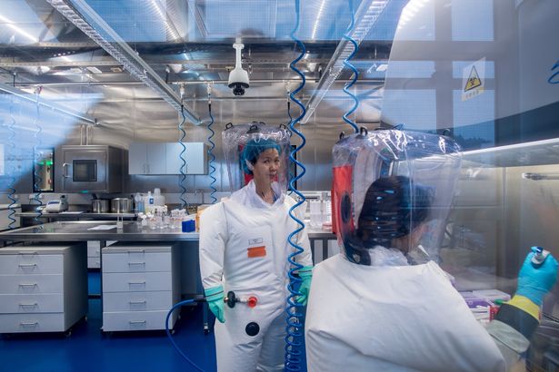 Shi Zhengli working in a lab