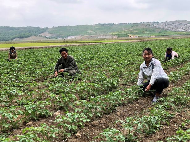 Kim Jong-un warns of ‘tense’ food situation in North Korea