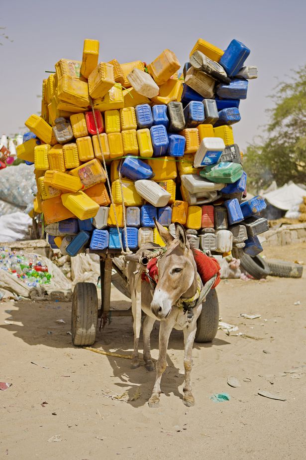 These heart-breaking pictures illustrate the punishing daily workload of 70,000 donkeys