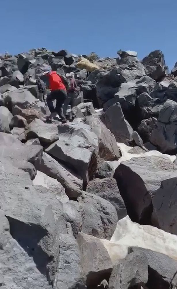 The group of climbers got the shock of their lives when they saw the white bear