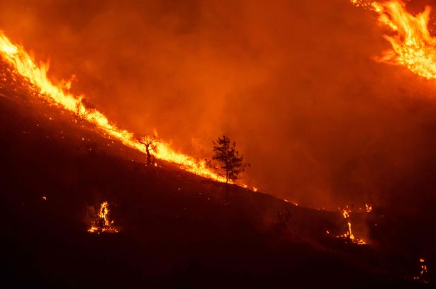 Fire devours parts of the slopes of the Throodos mountain chain