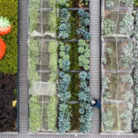 A gardener works at the Sky Garden in March.  | AFP-JIJI