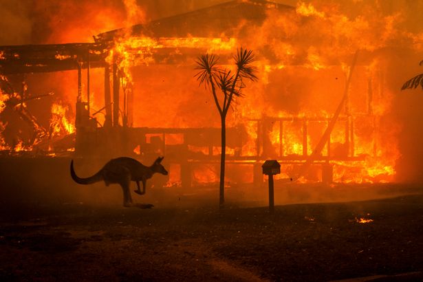 A kangaroo rushes past a burning house in Conjola, Australia, on Tuesday, Dec. 31, 2019.