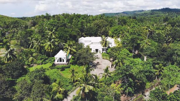 Firefly Hill fell into disrepair with a tree growing through its roof and an entrance overcome by jungle