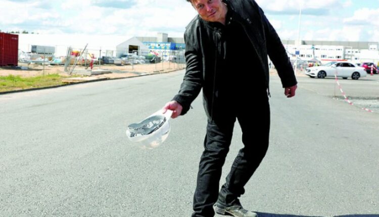 Tesla's plans for assembly plant in Germany slowed by lizards, letters