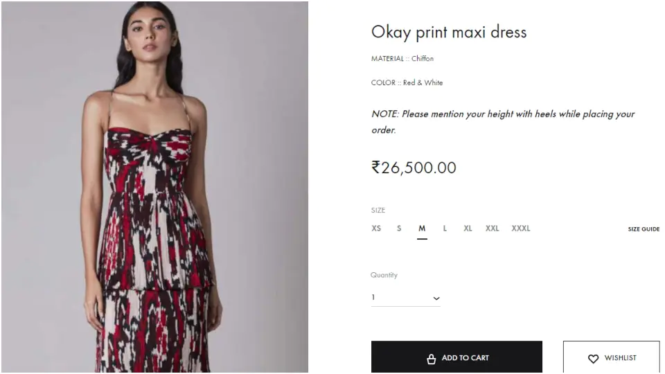 The Okay print maxi dress.(saakshakinni.com)