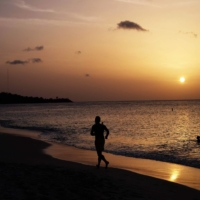 Dozens of small island states most vulnerable to the effects of climate change, like Grenada, have called on the world to save their future. | AFP-JIJI