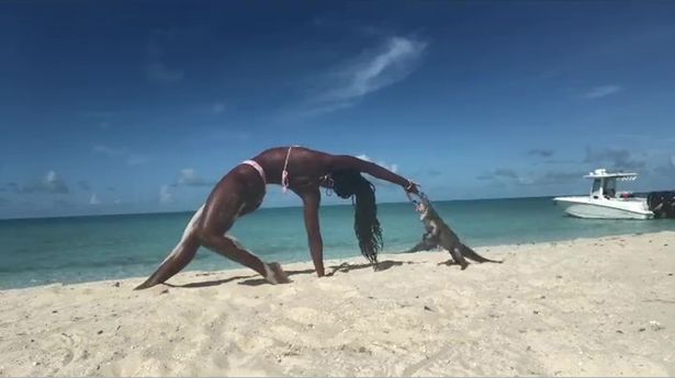 A person enjoying yoga on a beach by an iguana