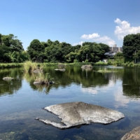 Land purchased by a Chinese national adjacent to Suizenji Ezuko Park (back left) in the city of Kumamoto | NISHINIPPON SHIMBUN