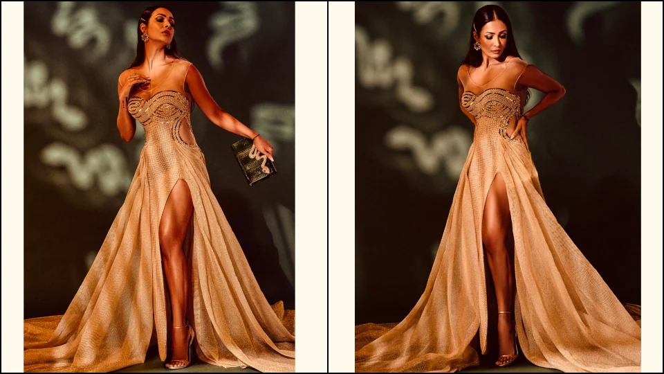 Malaika Arora looks stunning in a Dar Sara gown. 