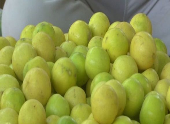 Lemon Prices Soar to All-Time High Across India, Rs 13 Per Piece in Lucknow