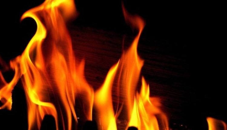 Mumbai: Fire Breaks Out at a Shop in Bombay Timber Mart Market in Reay Road, No Casualty Reported