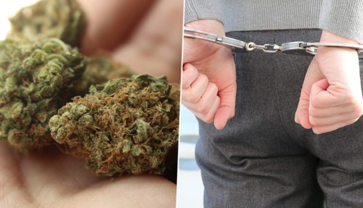 Goa Police Seized Ganja Weighing 6 Kgs, Worth Rs 6 Lakhs, One Arrested