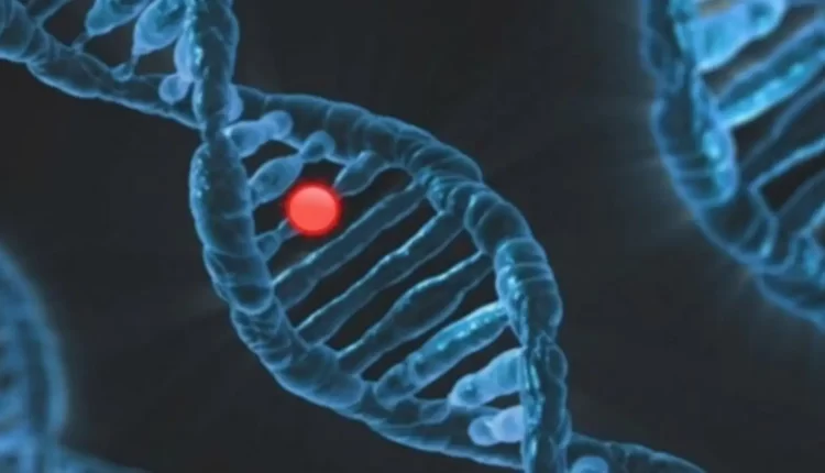 Role of single gene linked to epilepsy, autism identified: Study
