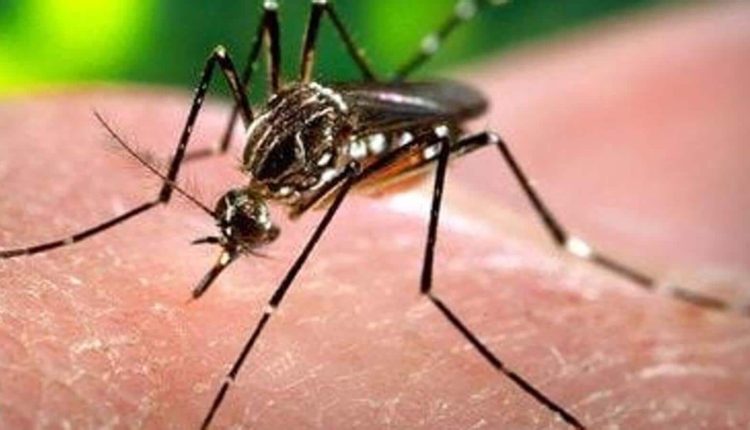 PMC intensifies chemical fogging to control dengue outbreak in Patna