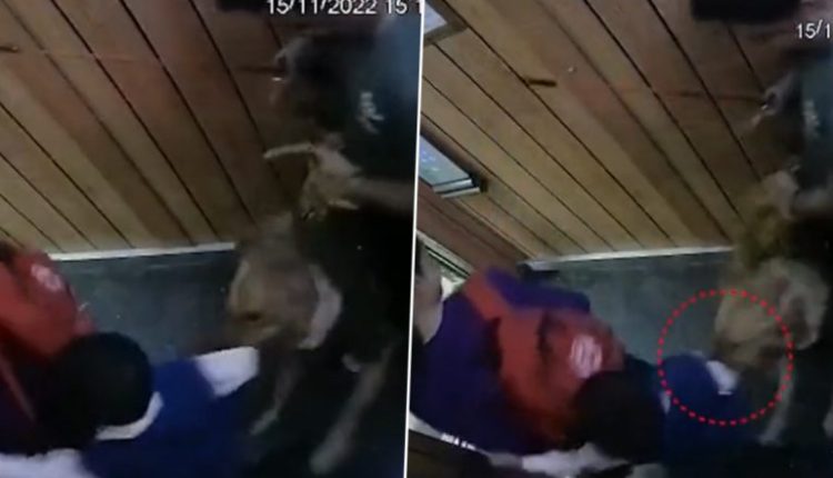 Dog Attack: Greater Noida Authority Slaps Rs 10,000 Penalty on Owner After His Pet Dog Bites Child in La Residentia Society’s Lift (Video)