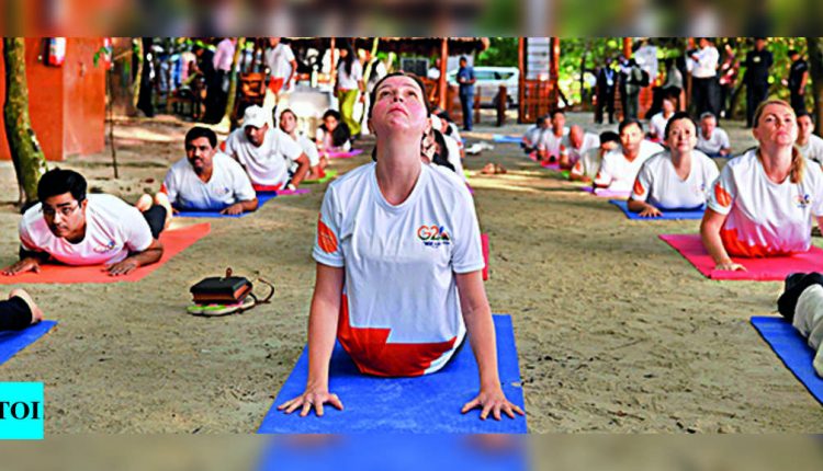 In Andamans, India briefs G20 envoys | India News