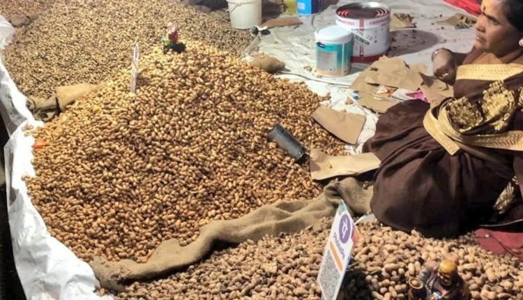 'Kadlekai Parishe' begins in Bengaluru. What is it all about? | Bengaluru