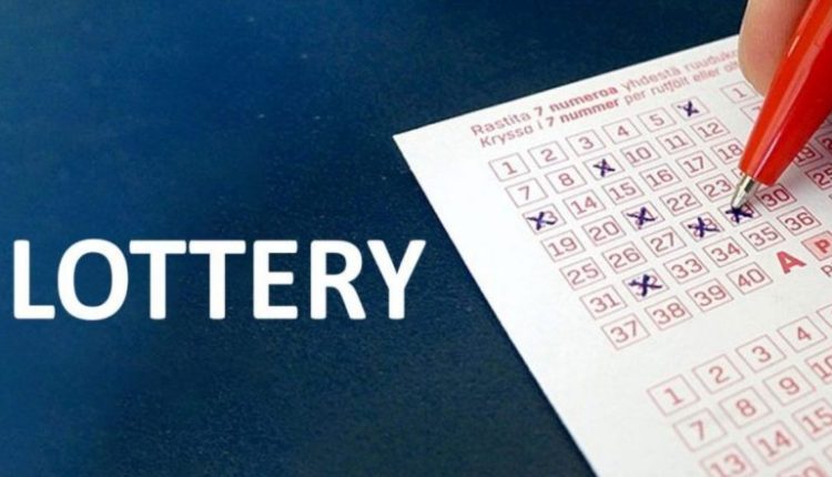 Nagaland State Lottery Result Today 8 PM Live, Dear Falcon Evening Thursday Lottery Sambad Result of 03.11.2022, Watch Live Lucky Draw Winners List