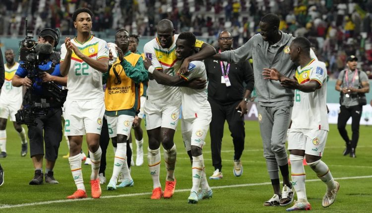 Senegal's Lions find their pride | Football News