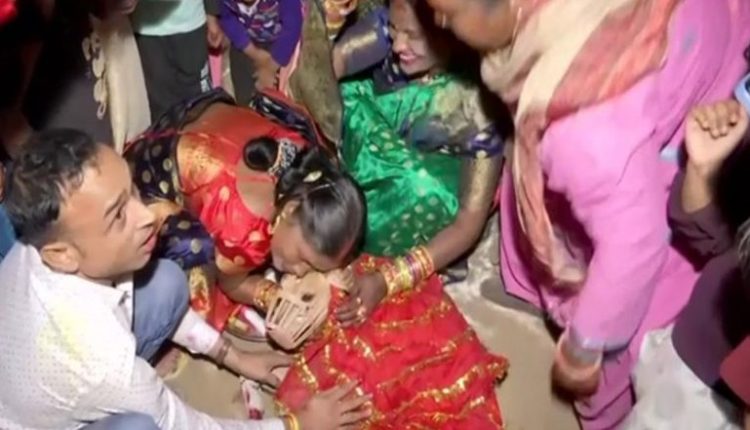 Sheru Weds Sweety: Gurugram Couple Organises Traditional Indian Wedding For Their Pet Dogs (Watch Video)