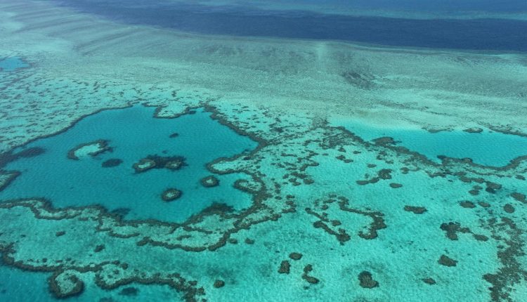 UN panel recommends Great Barrier Reef be put on 'in danger' list
